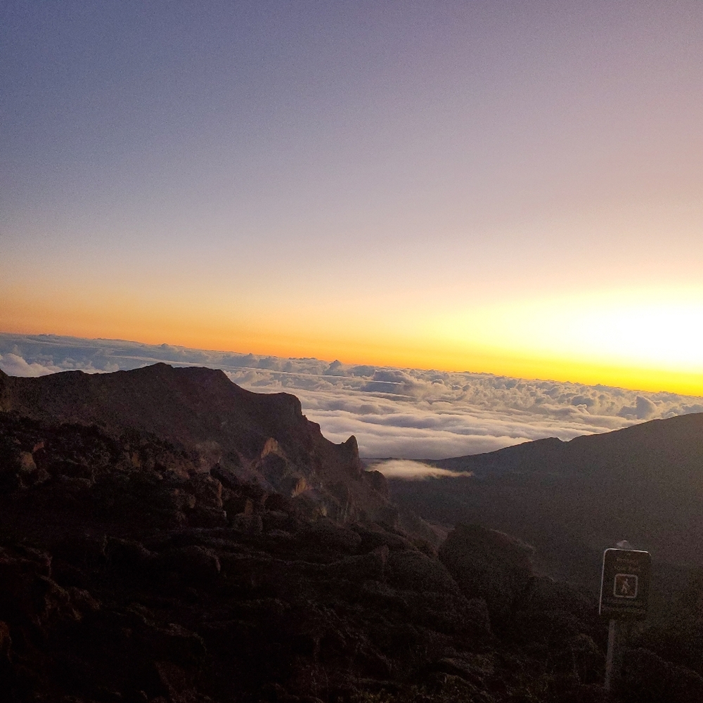 Meet your Posher, Joseph